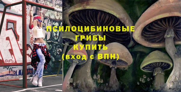 МДПВ Дмитров