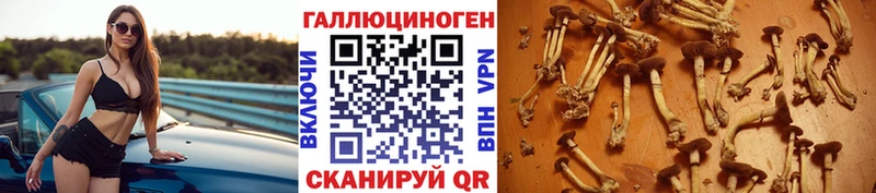 Псилоцибиновые грибы мухоморы  Нижний Тагил 